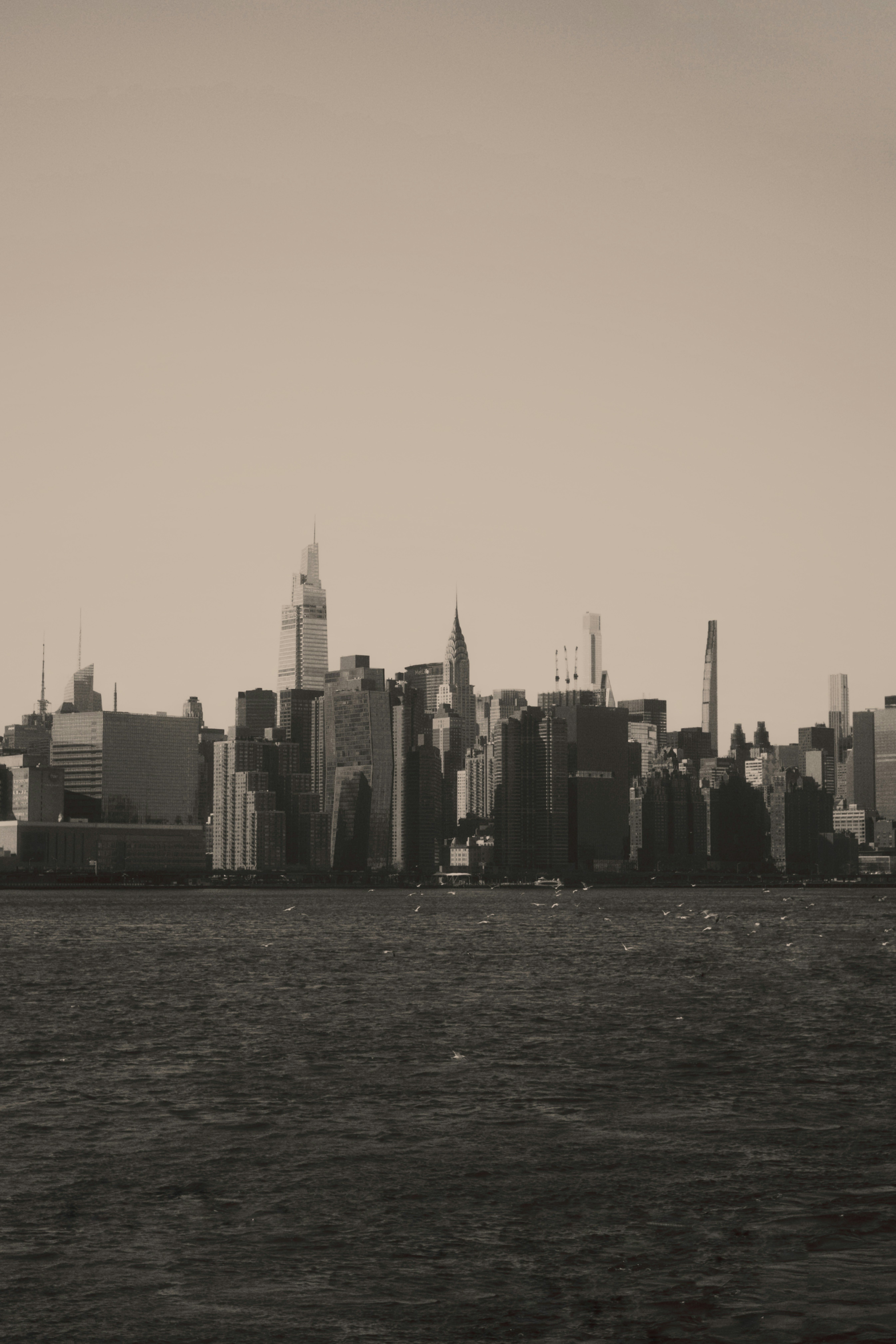 timeless wallpaper with photography background