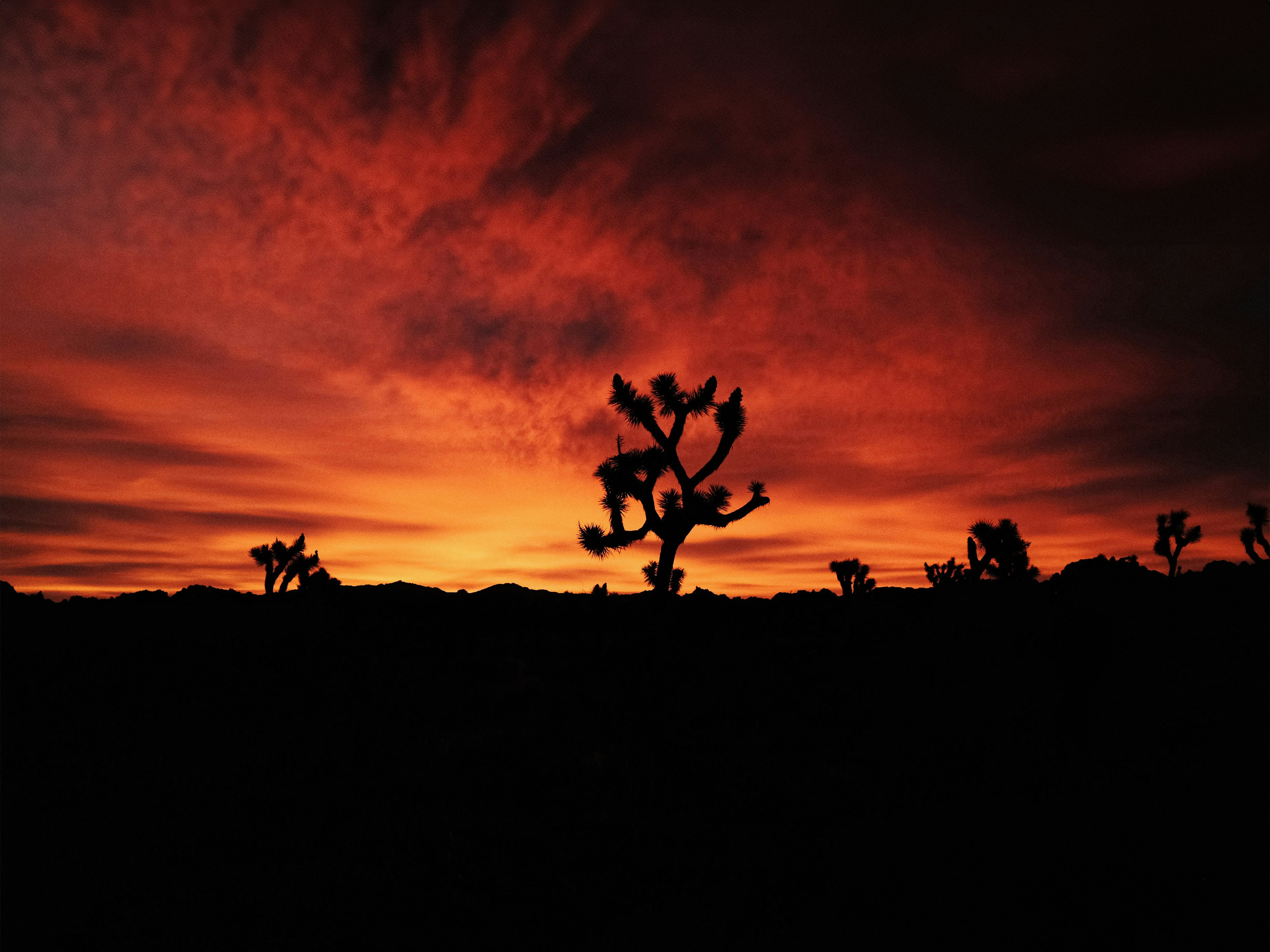 valley of fire wallpaper with photography background