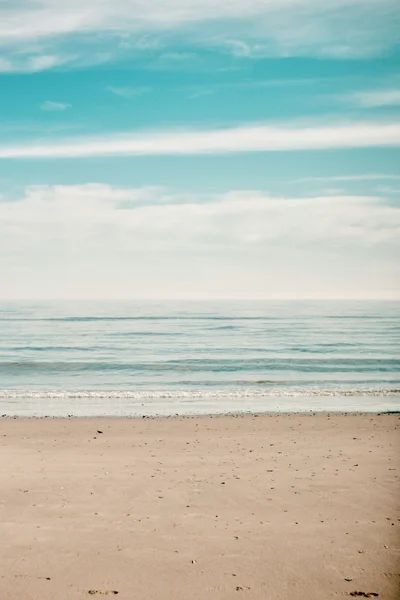 beachly thumbnail