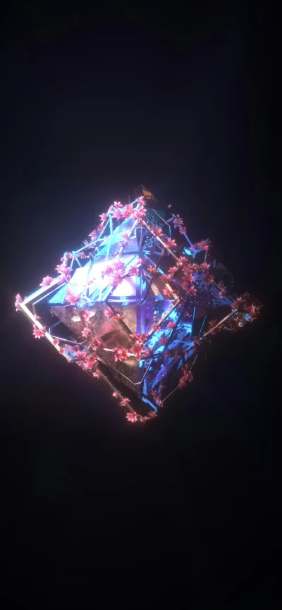 bloom thumbnail