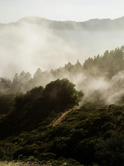 foggy hills thumbnail