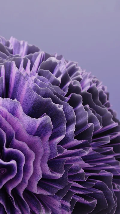 coral 2 thumbnail