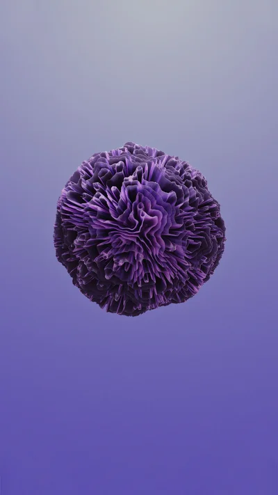 coral 5 thumbnail