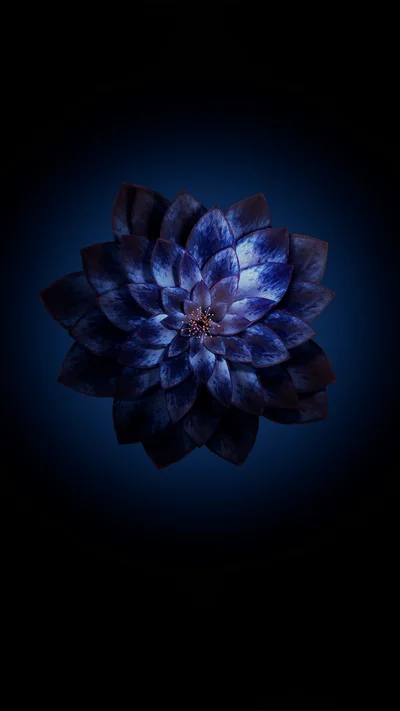 flowers 2 thumbnail