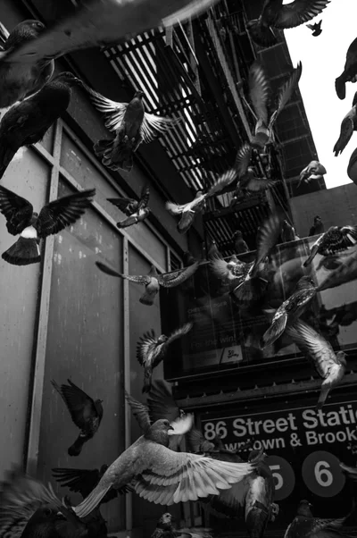 in flight thumbnail