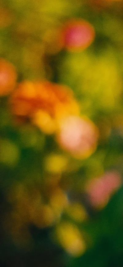 blurry flowers 2 thumbnail